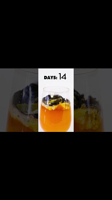 Carrot Juice after 35 days 🥕🤮