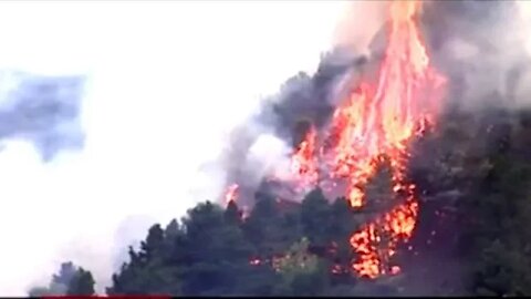 Forest Fire Burns Out Of Control In The Canary Islands!