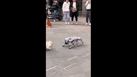 Dog And Ai robot Fight