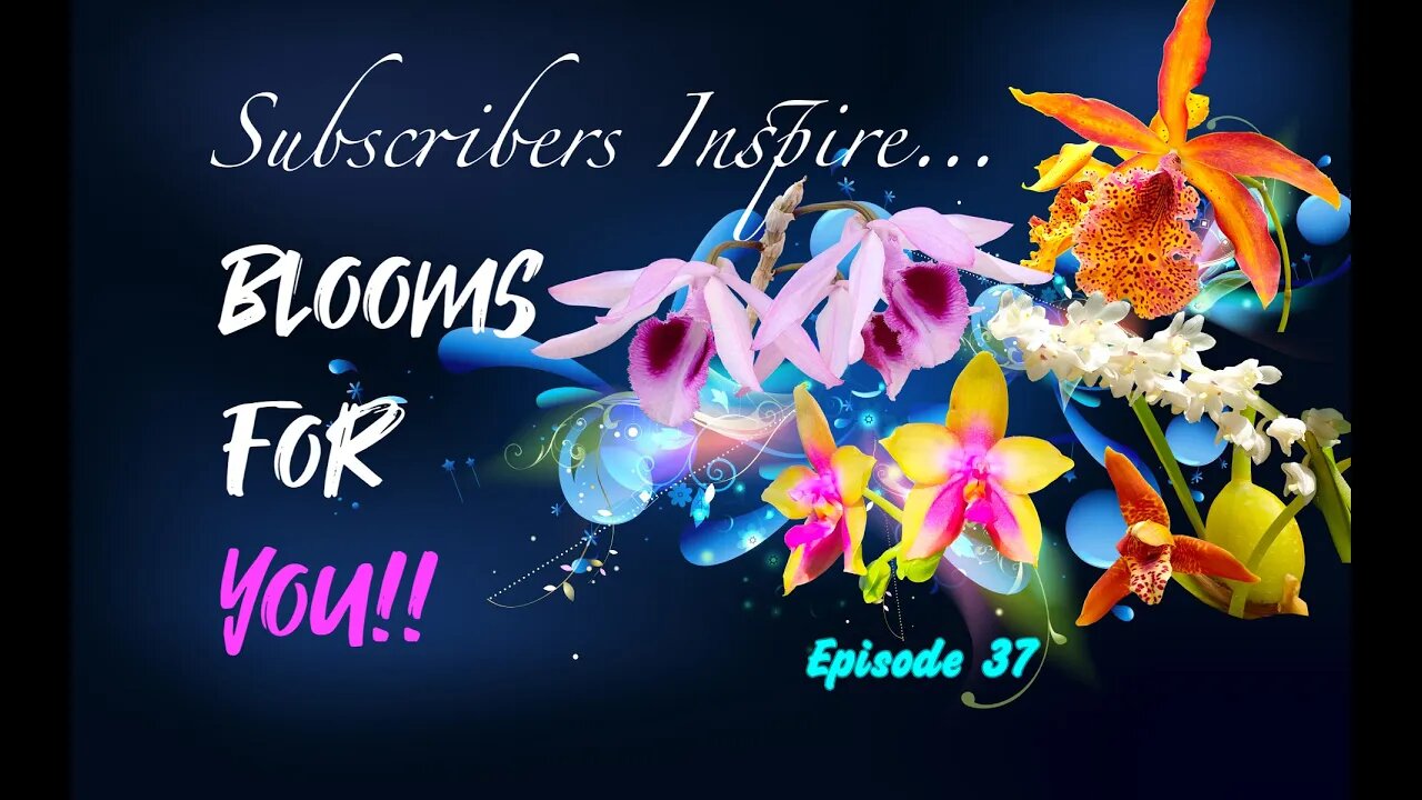 SUBSCRIBERS INSPIRE| You color my life | Blooms for YOU! Episode 37 🌸🌺🌼💐#Orchids #OrchidsinBloom