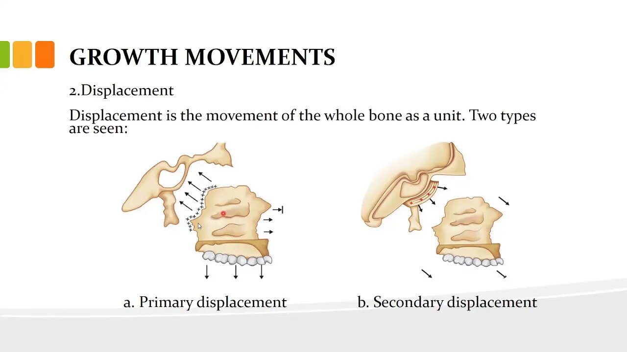 orthodontics L5 (growth and development 2)