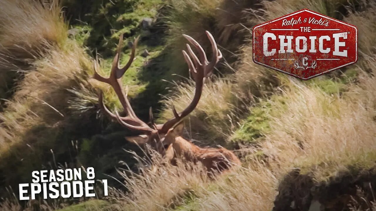 Good Day Mate! Red Stag Adventure! - The Choice (Full Episode) // S8: Episode 1