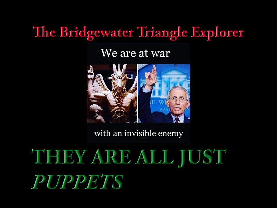 They're All Just Puppets