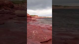 The beach minutes before a thunderstorm