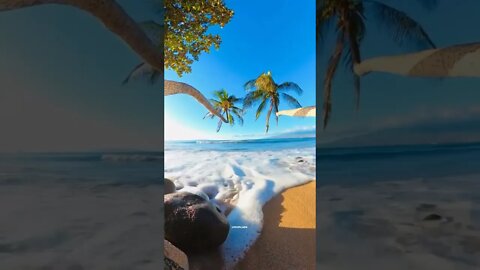 Relaxing in Paradise 🌊⛱️🌴💙#relax #relaxing #paradise #ocean #shorts #ytshorts #short