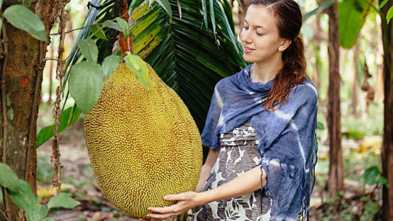 Health Benefits of Jack fruit