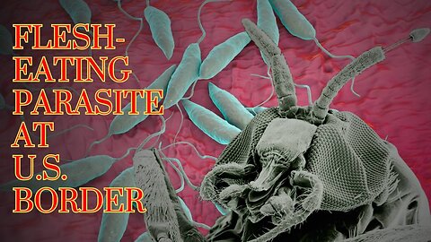 Owen Shroyer: Flesh Eating Parasites Pouring Across The Southern Border - 12/27/23