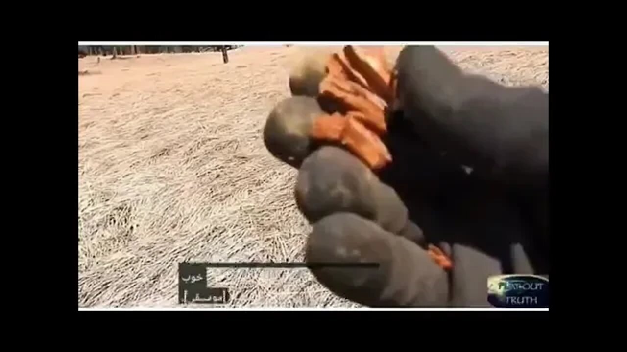 ۲۹ ژوئیهٔ ۲۰۲۲