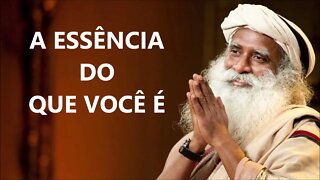 A ESSÊNCIA DA VIDA, SADHGURU, DUBLADO