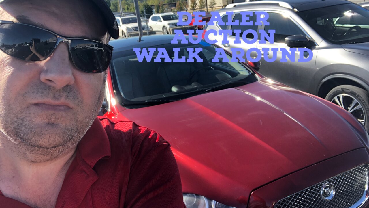 Dealer auction walk around! Should I bid?