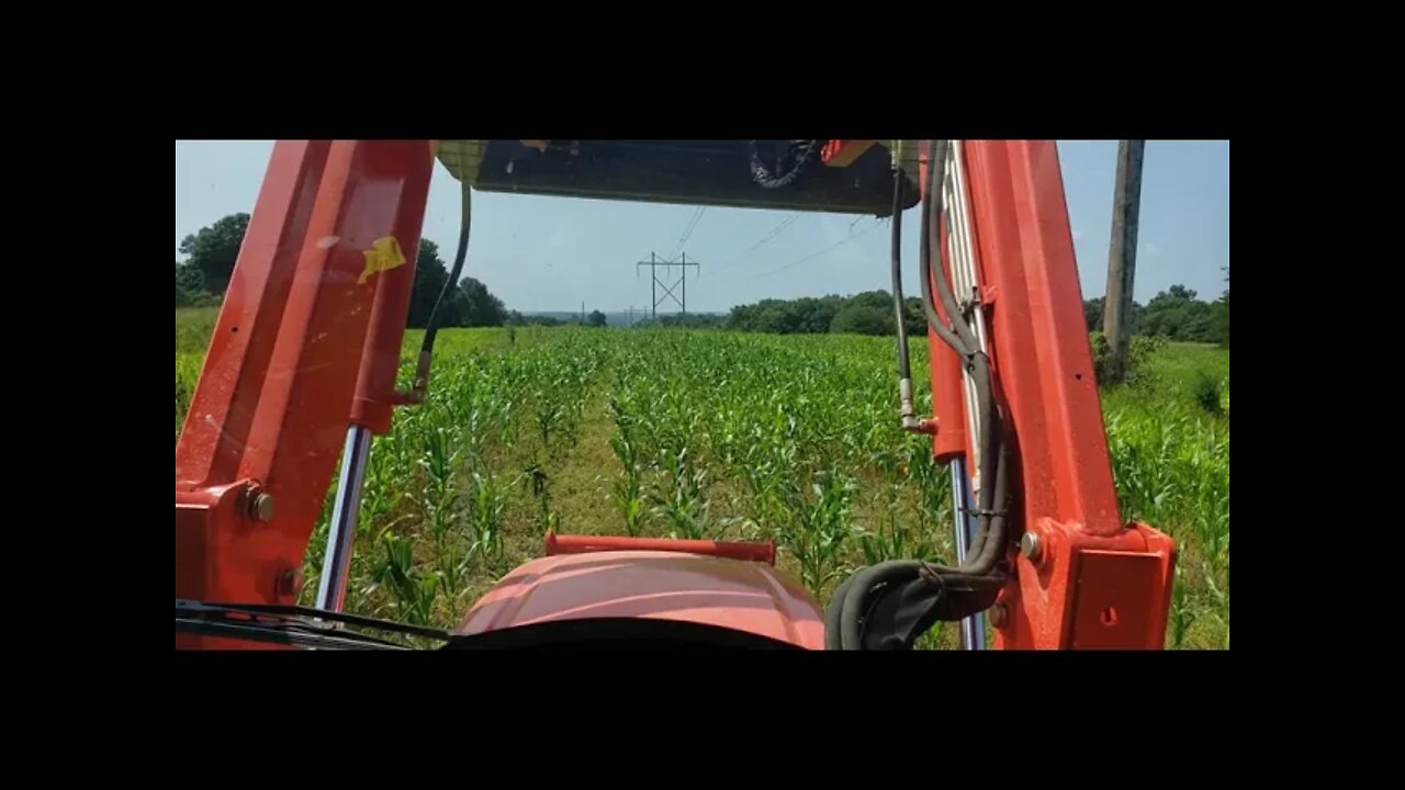 Daily farm vlog on medical restrictions. Kioti RX7320 spraying corn & milo with Nitrogen