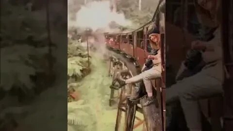 A beautiful journey Through the rainforest with you 🍃🌴😍 . 📷hattybell