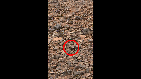 Som ET - 82 - Mars - Curiosity Sol 991 - Video 1