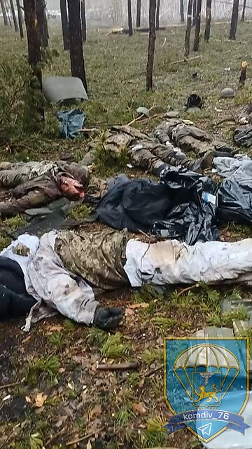 The work of Pskov paratroopers in the Kremensk direction