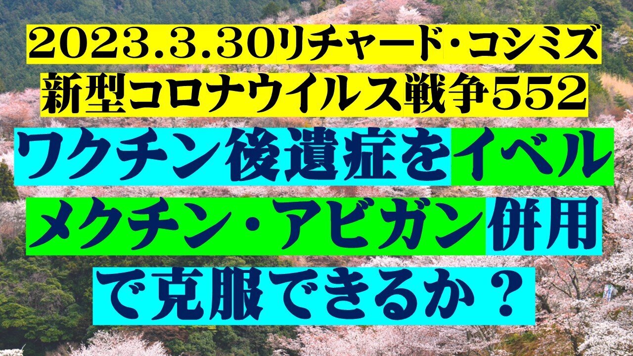 2023.03.31 リチャード・コシミズ新型コロナウイルス戦争552