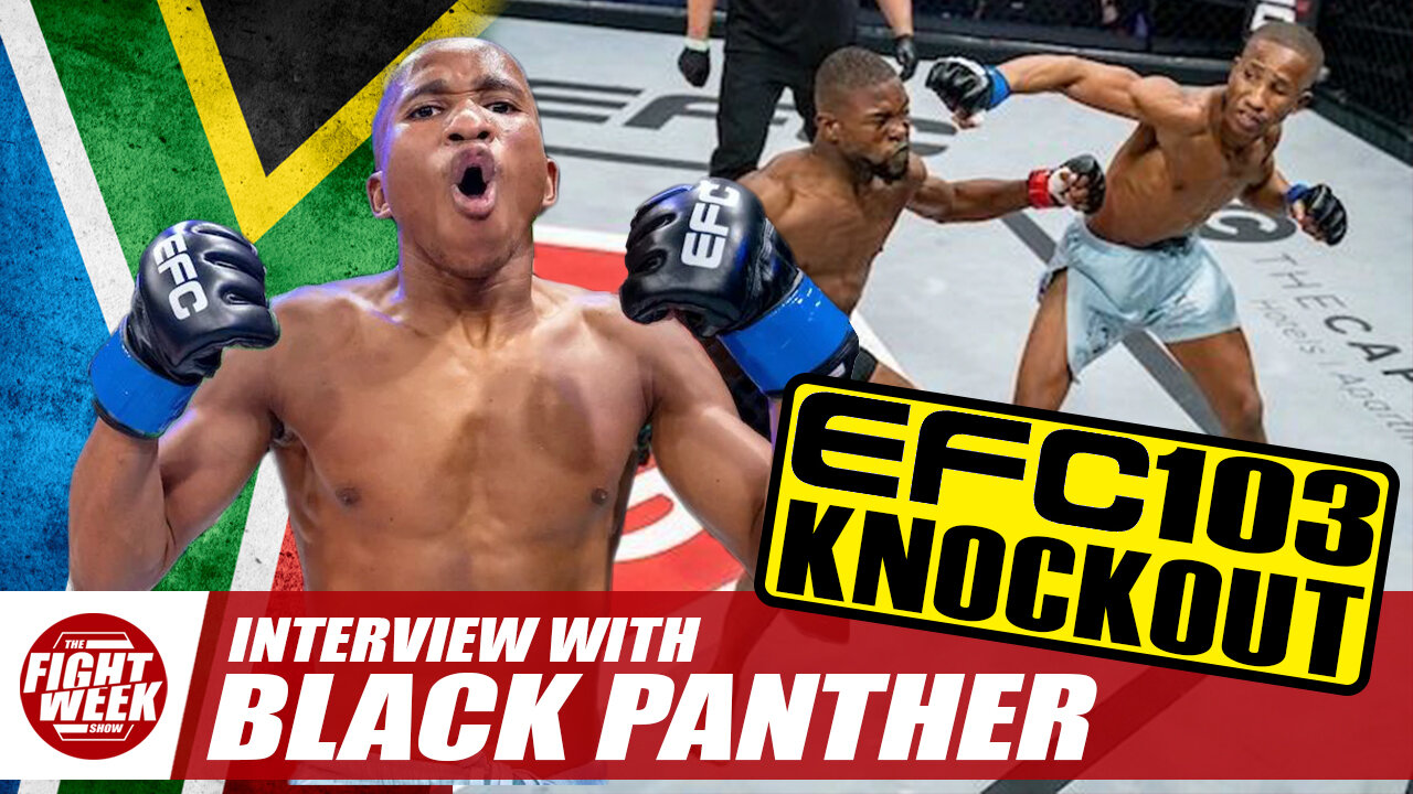 THE BLACK PANTHER STRIKES AGAIN🥊EFC103 KNOCKOUT🔥CONOR MCGREGOR ☘️ FIGHTING FOR A TITLE ★ TFWS