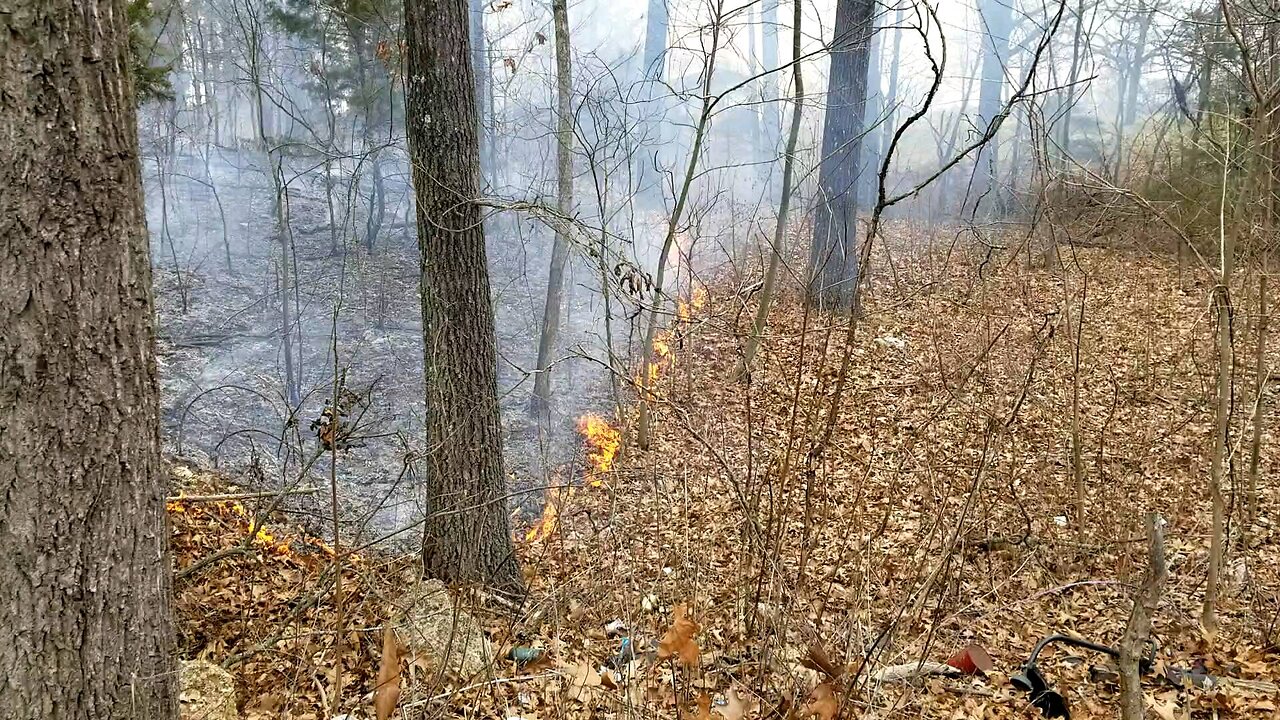 Fire on the Homestead!