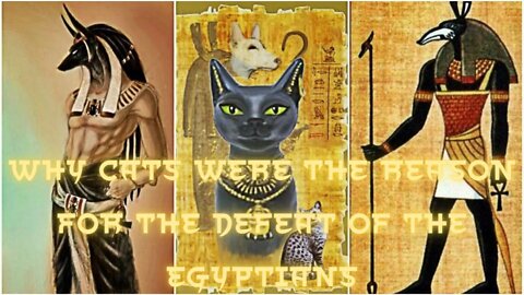 Why Cats Were the Reason for the Defeat of the Egyptians