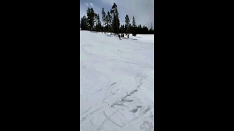 the funny #funny #viral #video