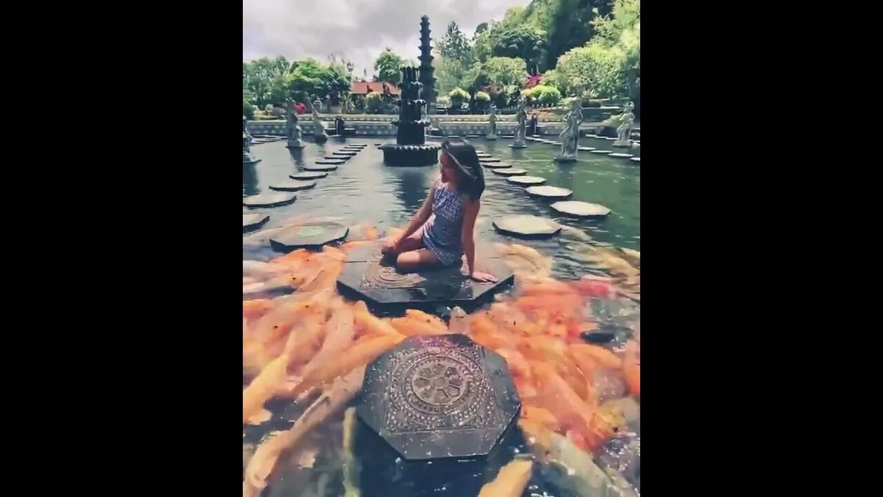 fishes are watching meππ