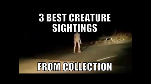 3 of the best creature sightings from the 3AM Lowdown collection - [07/01/2021]