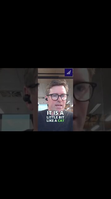 Market's are a CAT - Invest like a PUSSY