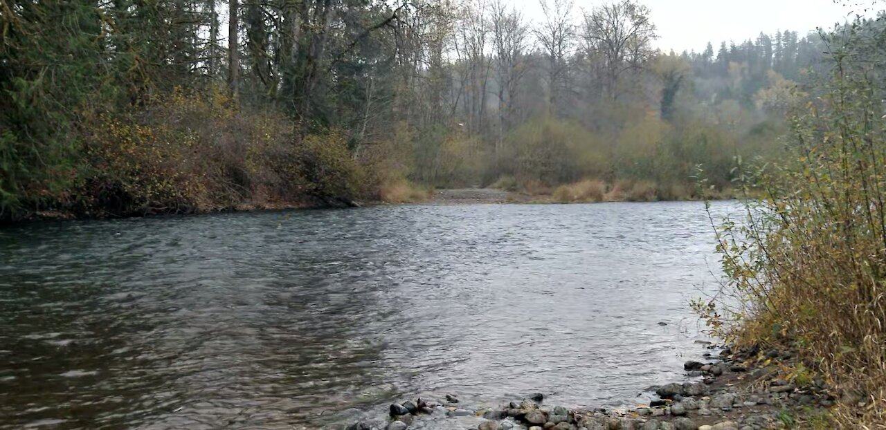 A nice Wendy day in the Pacific Northwest