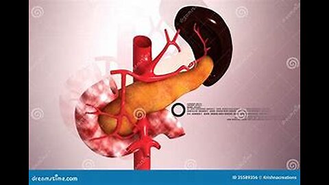 The Pancreas