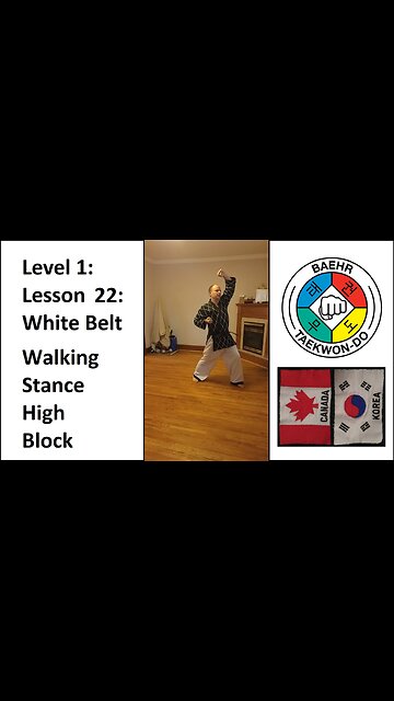 Baehr Taekwondo: 01-22: White Belt: Walking Stance - High Block