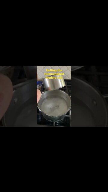 Getting The Hummingbird Feeders Ready!