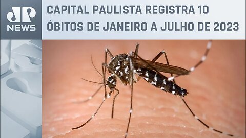 Número de mortes por dengue em São Paulo é o maior em oito anos