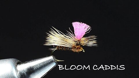 Bloom Caddis Fly Tying Video - Tied By Charlie Craven