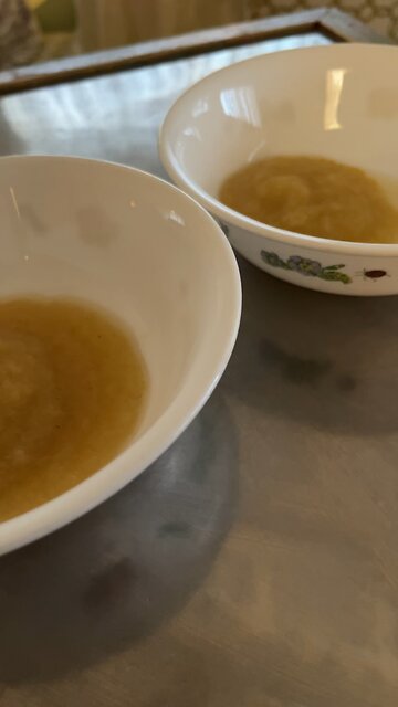 PROTOCOLS FOR HEALTH, food preps, war, camping, grid down, storms