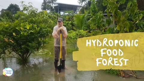 Hydroponic Food Forest