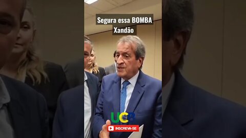 Bolsonaro ganhou? aja coração 💚💛