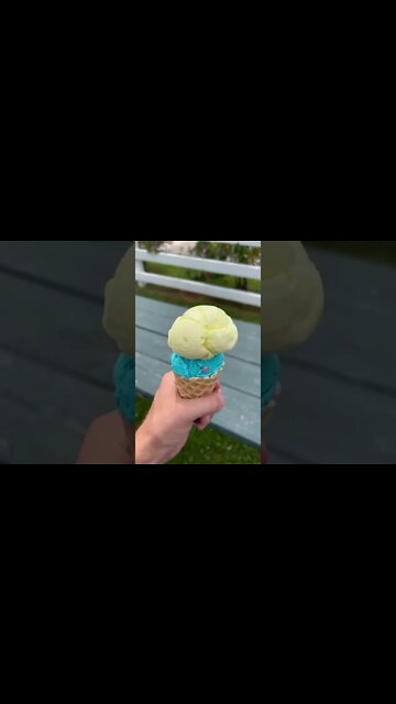 Blue and Yellow icecream from COWS PEI