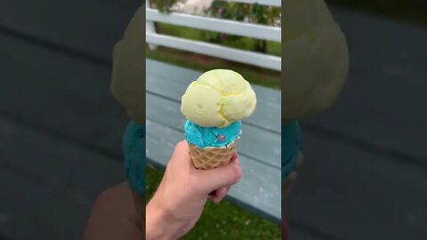 Blue and Yellow icecream from COWS PEI