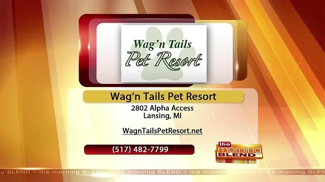 Wag N Tails- 7/17/17