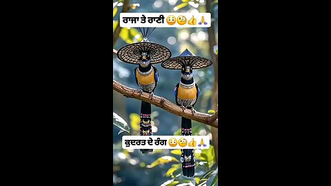 Raja_ rani
