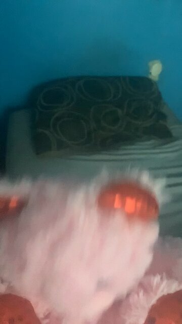 Politics in Kansas I guess