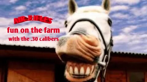 Airguns fun on the farm with the .30 calibers