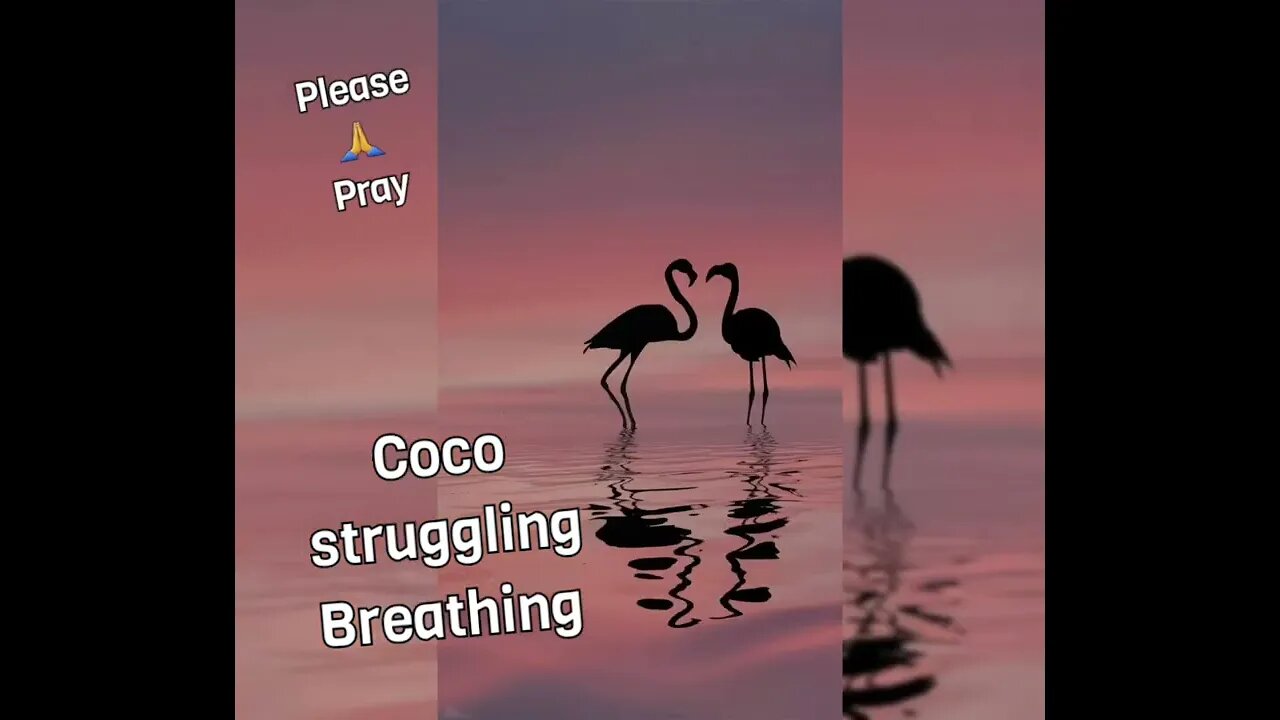 💞🙏 Please pray for me 🙏 💞
