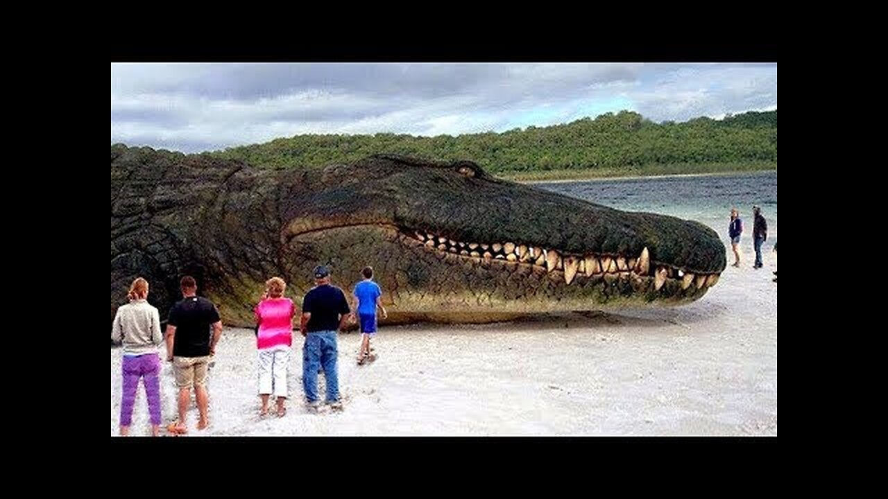 🔴50 SCARIEST Animals In The World