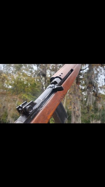 The M1 Carbine In A Minute #shorts