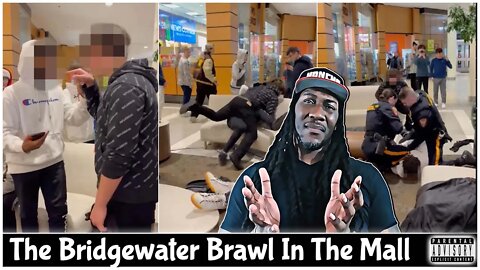 The Bridgewater Mall Brawl - Was The Cops Response Racist?