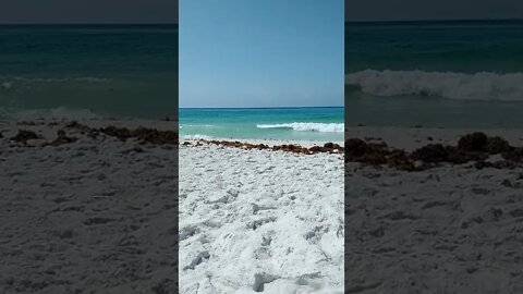 Pensacola Beach Waves & Seaweed. I'm gonna miss this! 😭