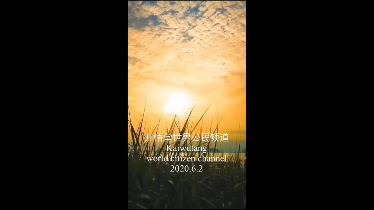 开悟堂世界公民频道 Kaiwutang world citizen channel 2020.6.2