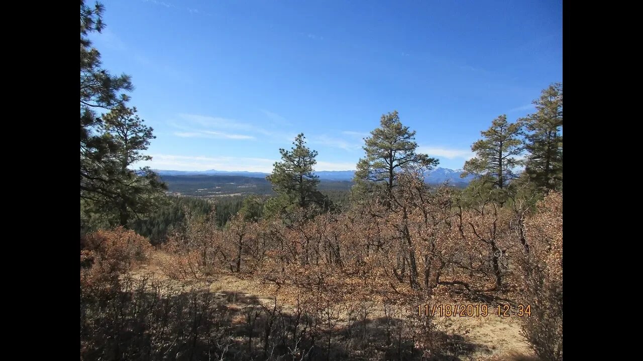 LDS 40 Acres, well, and Bordering Wildlife Area 2400 acres