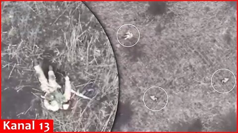 Duel of helpless Russians in Ukrainian steppes with a drone - They surrender