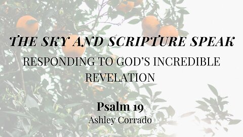 The Sky and Scripture Speak (Psalm 19) | Women's Bible Study | Ashley Corrado